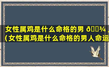 女性属鸡是什么命格的男 🌾 人（女性属鸡是什么命格的男人命运）